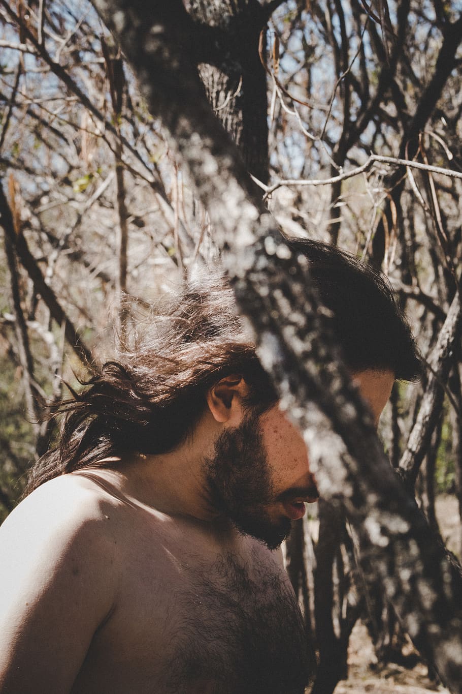 man standing behind trees, plant, mammal, animal themes, nature HD wallpaper