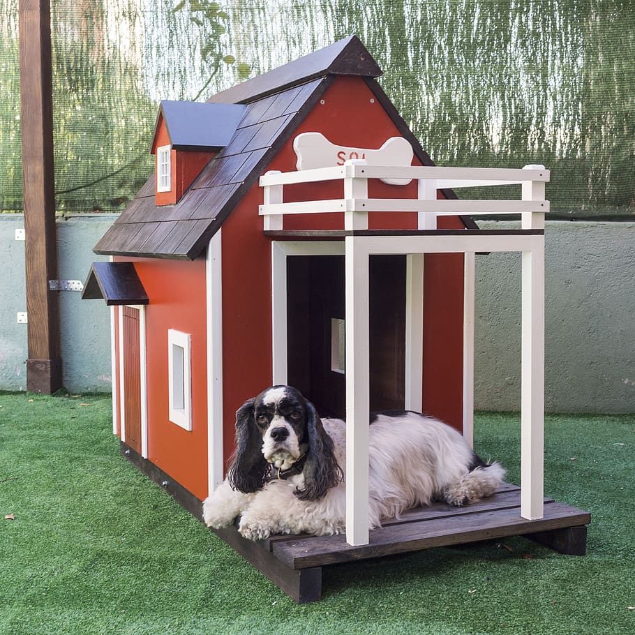 kennels for pets, dog houses, wooden houses for dogs, animals, HD wallpaper