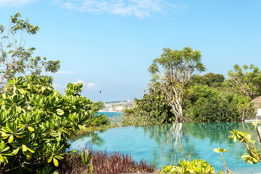 Body of Water Near Trees Under Blue Sky at Daytime, bright, clouds HD wallpaper