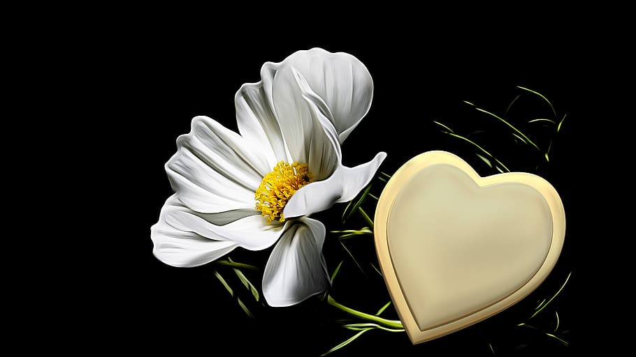 trauerkarte, golden heart, mourning, hope, floral card, blossom, HD wallpaper