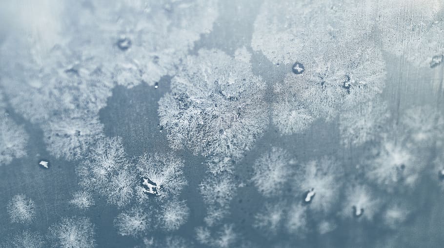 white and gray garment, nature, ice, outdoors, snow, frost, bird HD wallpaper