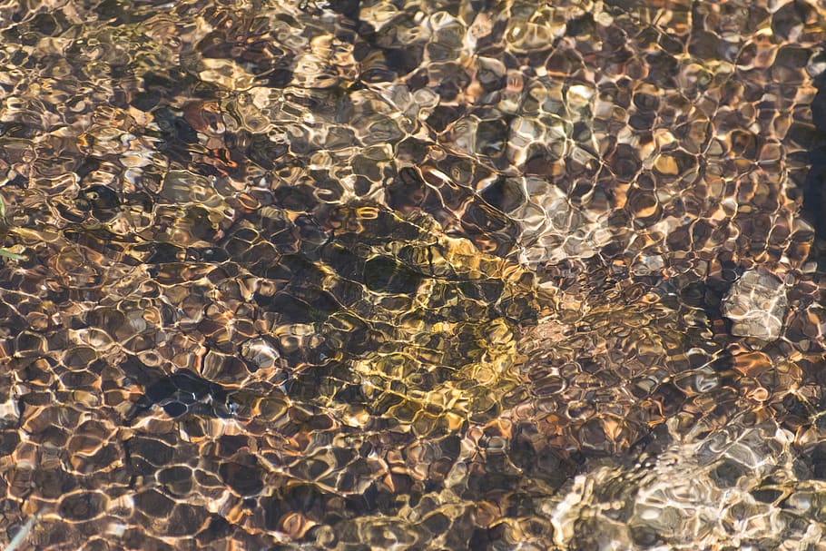 ooty, india, texture, ripple, water, stream, flow, flowing, HD wallpaper