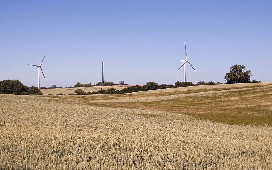 corn field, wind turbines, landscape, sky, summer, mill, golden HD wallpaper