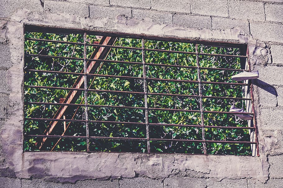 architecture, built structure, plant, no people, day, window HD wallpaper