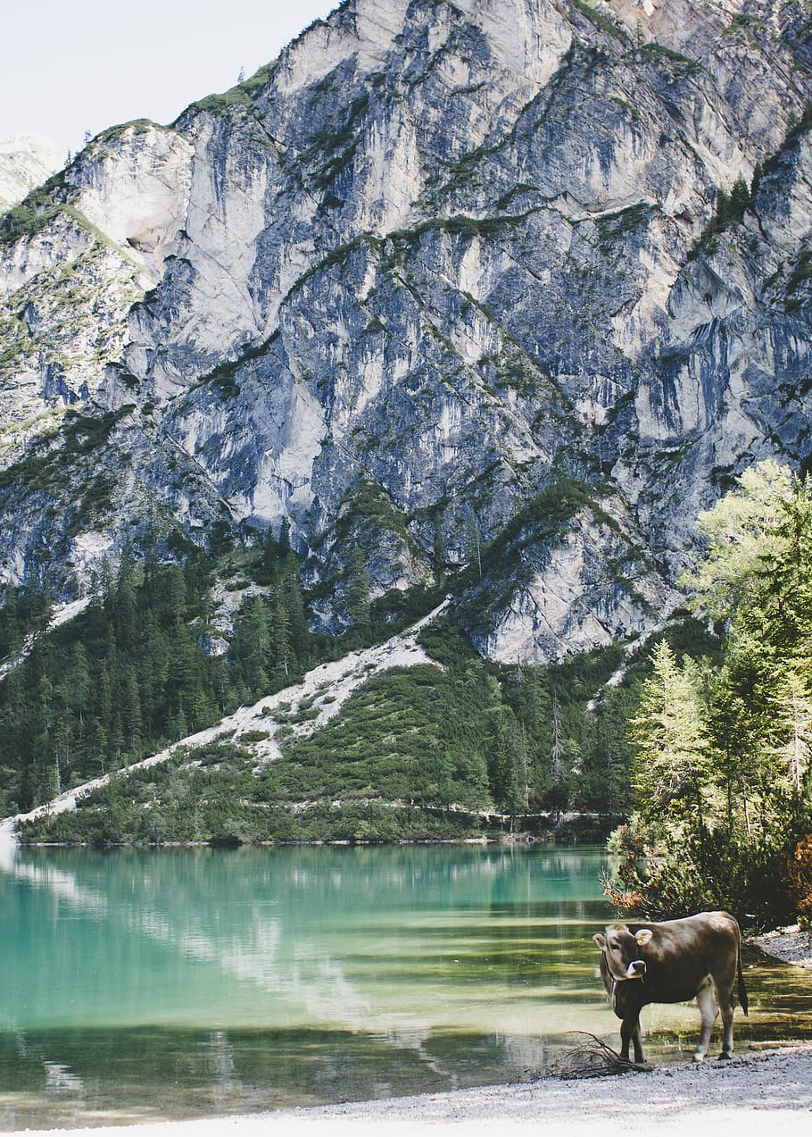 italien, pragser wildsee, mountain, sky, wonderfull, bright, HD wallpaper