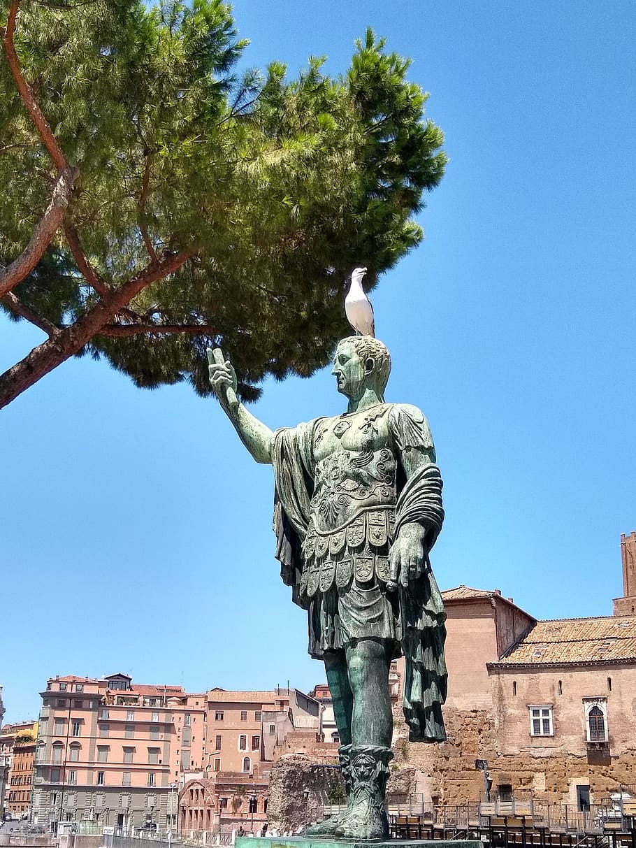 rome, caesar, statue, seagull, sculpture, travel, city, architecture HD wallpaper