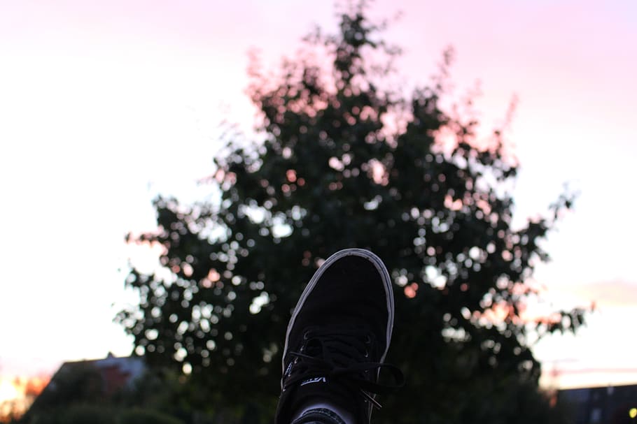 bokeh, macro, tree, nature, colorful, sunset, one person, low section HD wallpaper