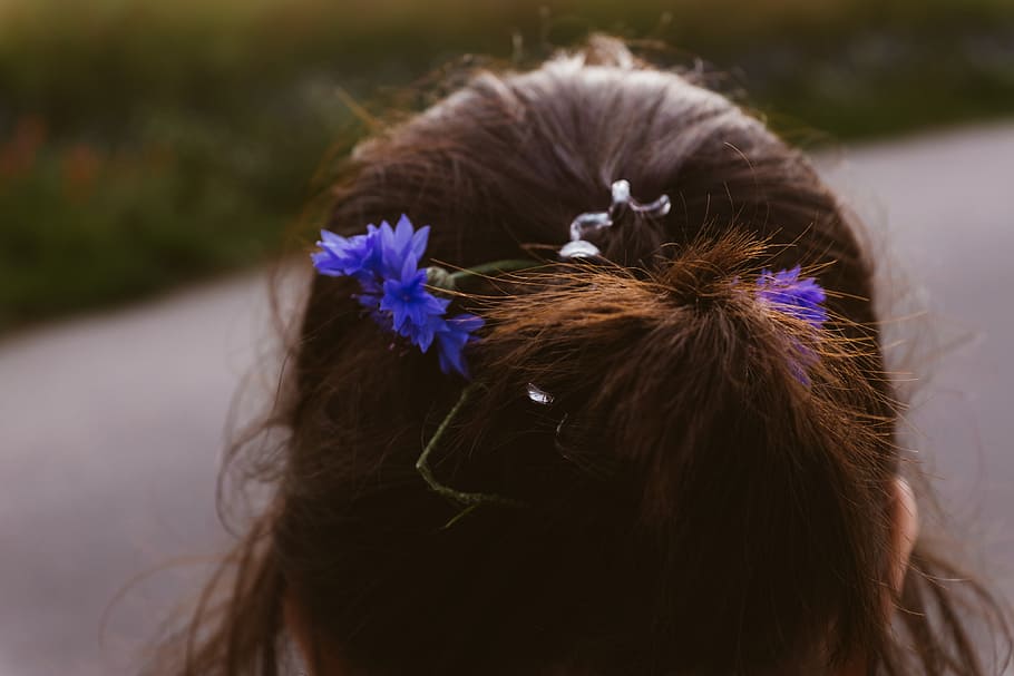 Field flowers in hair, back, background, beautiful, beauty, female, HD wallpaper