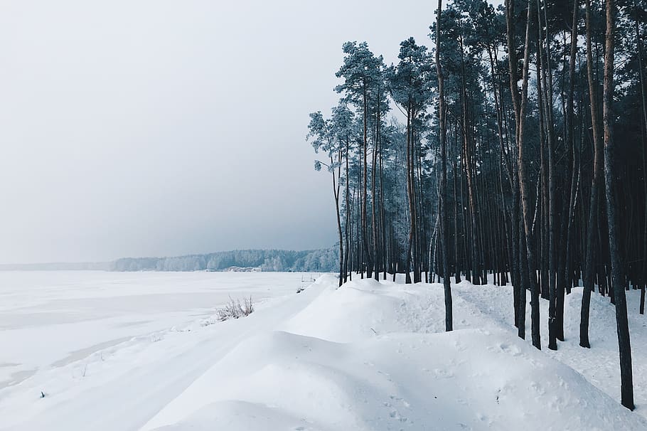 snowytrail during daytime, outdoors, ukraine, pereyaslav-khmel'nyts'kyi district HD wallpaper