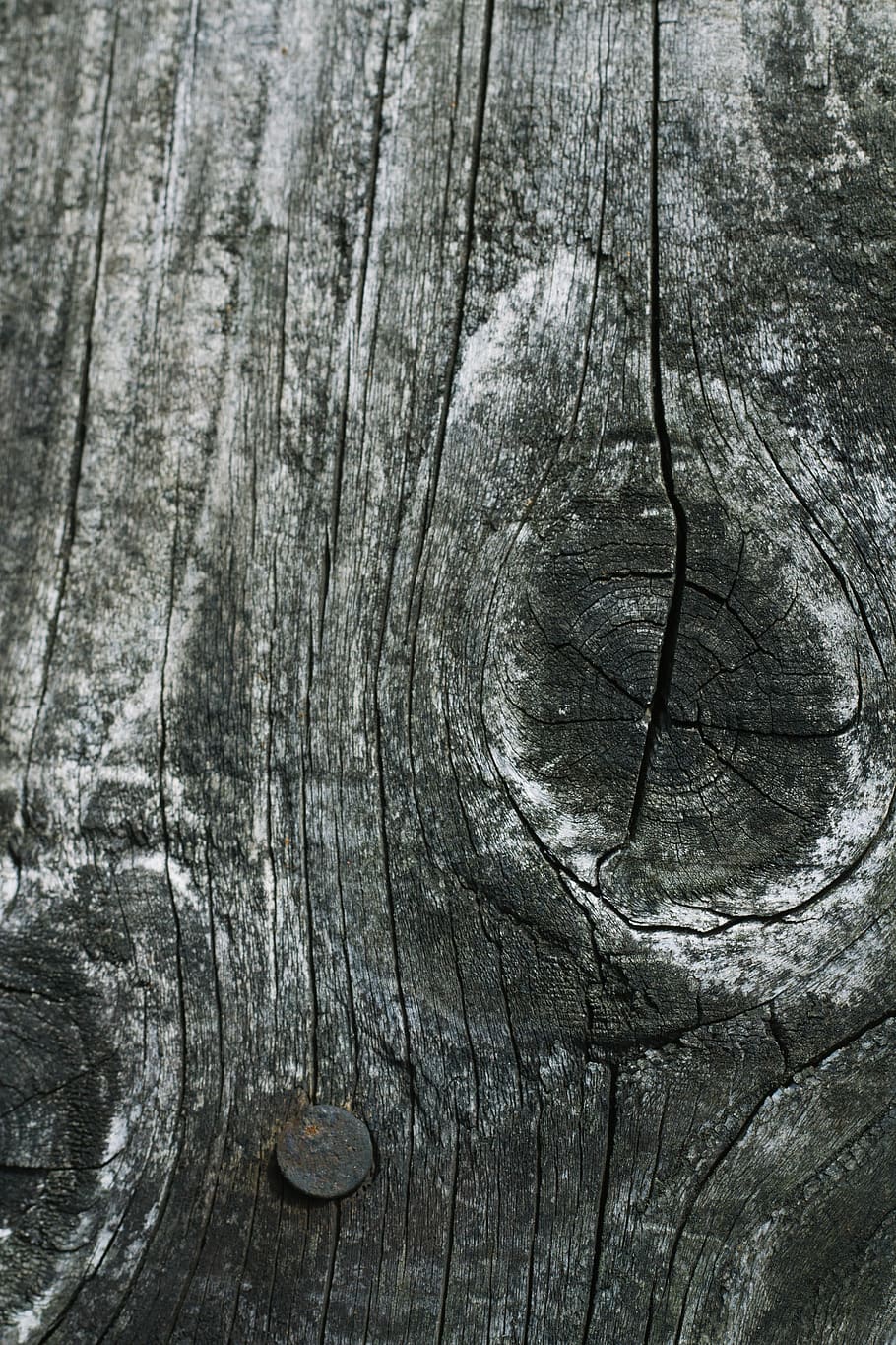 wood, texture, textured, wood - material, backgrounds, full frame HD wallpaper