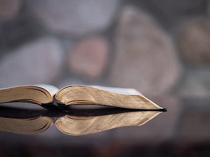 selective focus photography of book, bible, page, open book, reflection HD wallpaper