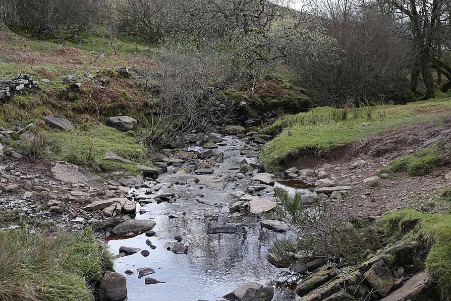 stream, river, water, creek, outdoors, scenic, rocks, environment HD wallpaper