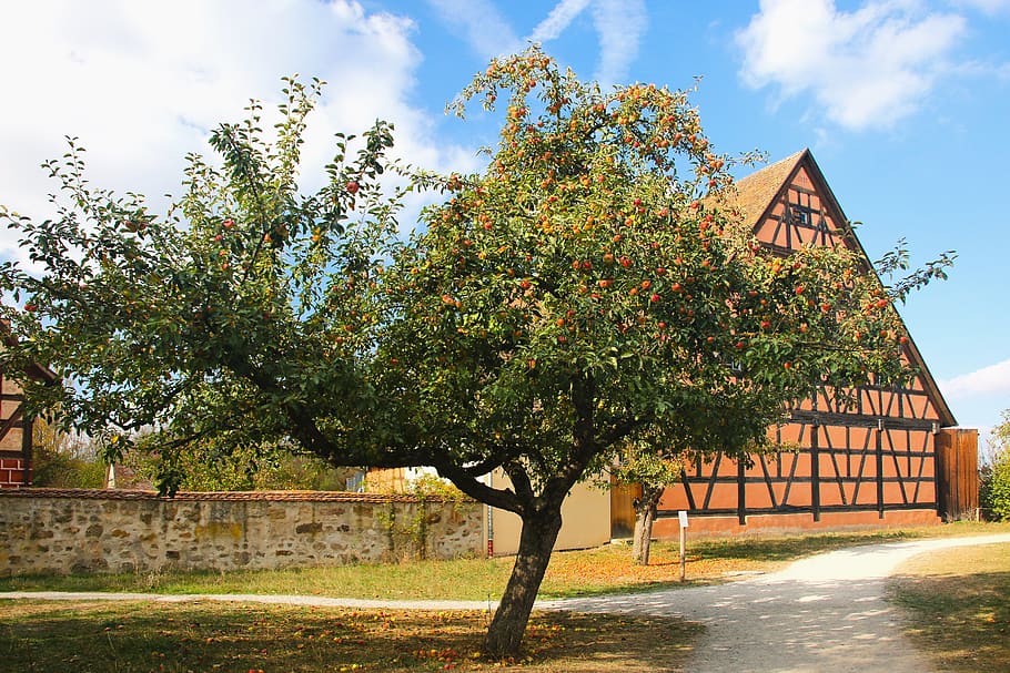 nature, tree, landscape, architecture, rural, farm, apple tree HD wallpaper