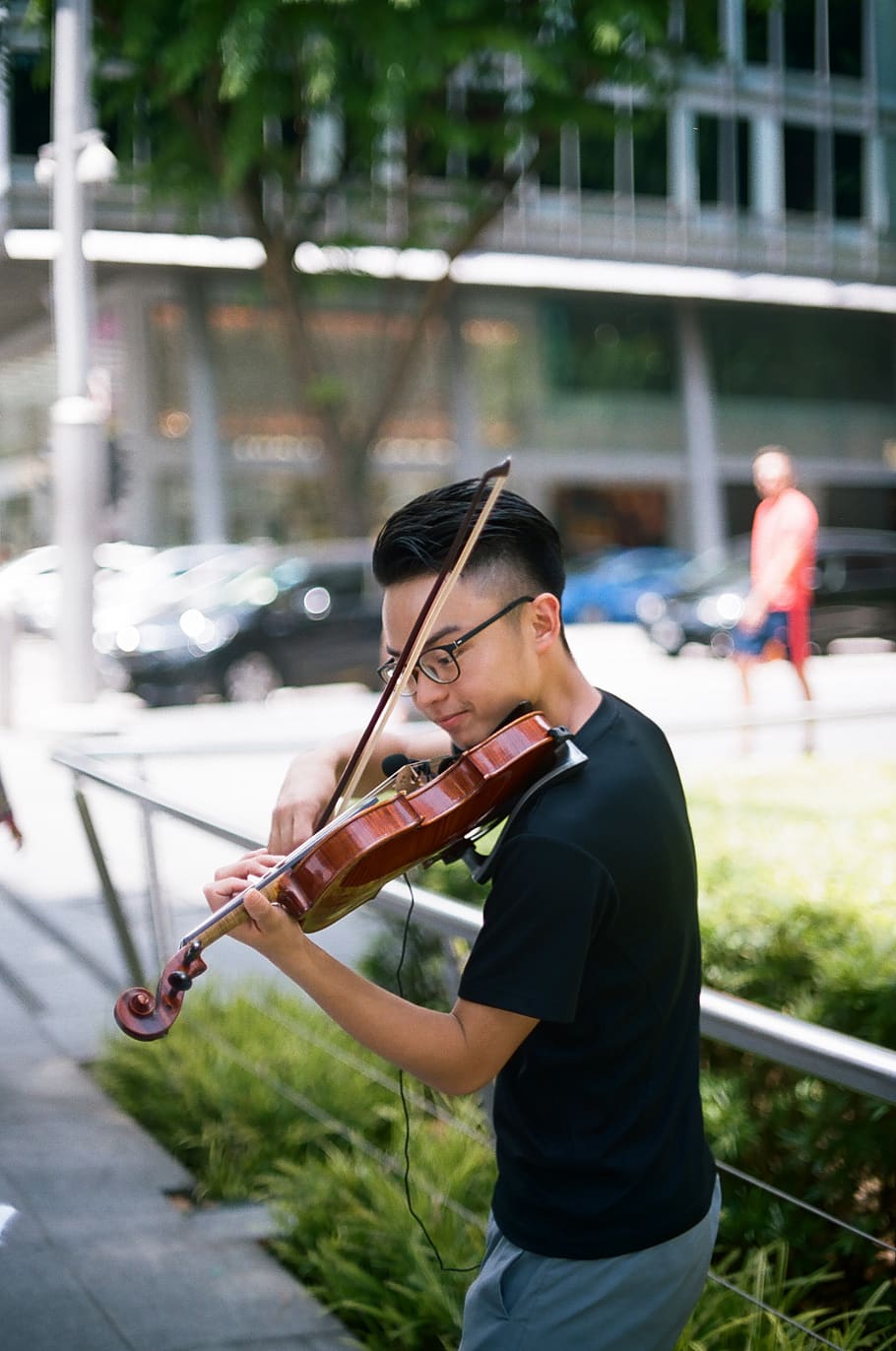 Orchard violins online