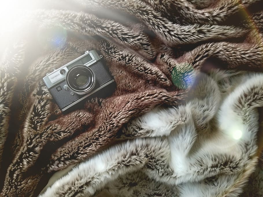black camera on brown and gray fur textile, electronics, woodstock HD wallpaper