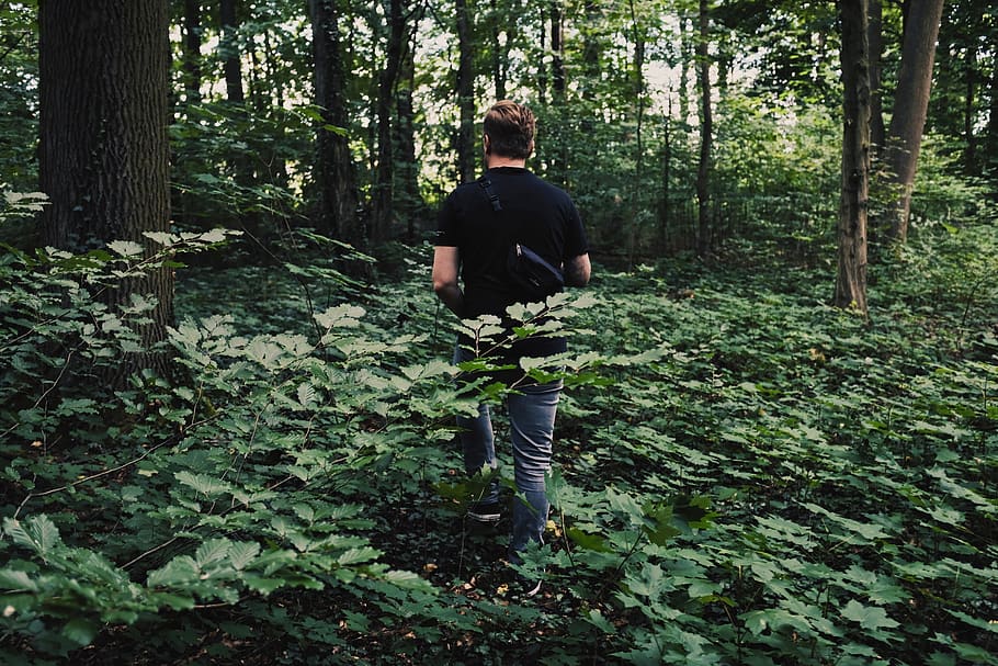 man near trees, plant, growth, land, one person, forest, real people HD wallpaper