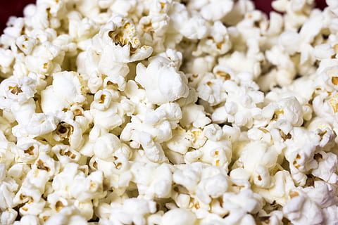 Close-up Photo of Popcorn, blur, cooked, delicious, depth of field HD wallpaper