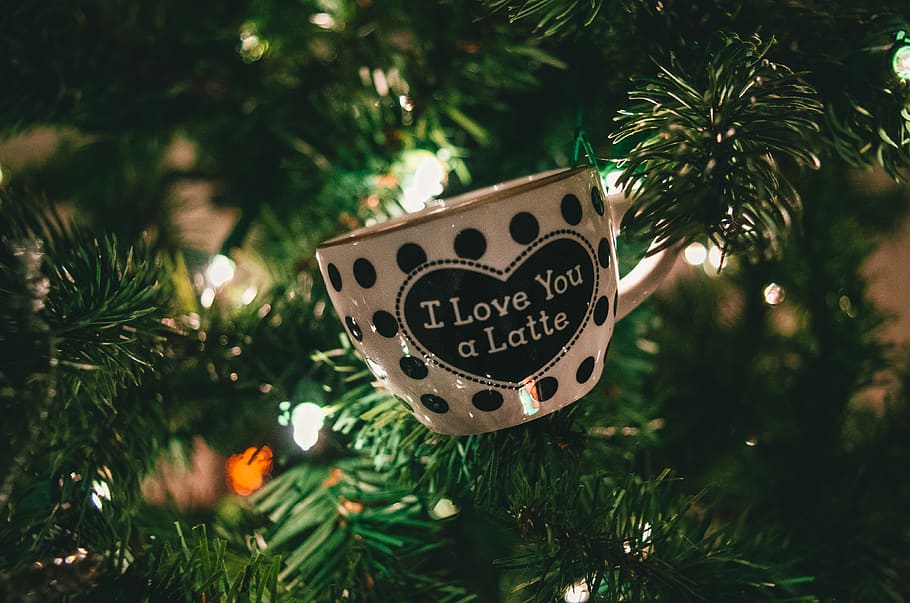 white and black I Love You a Latte polka-dot ceramic teacup on pine tree, HD wallpaper