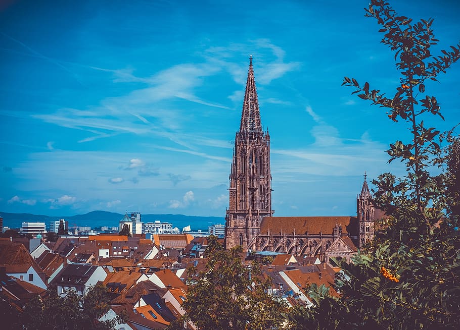 freiburg, city, münster, freiburger minster, downtown, houses, HD wallpaper