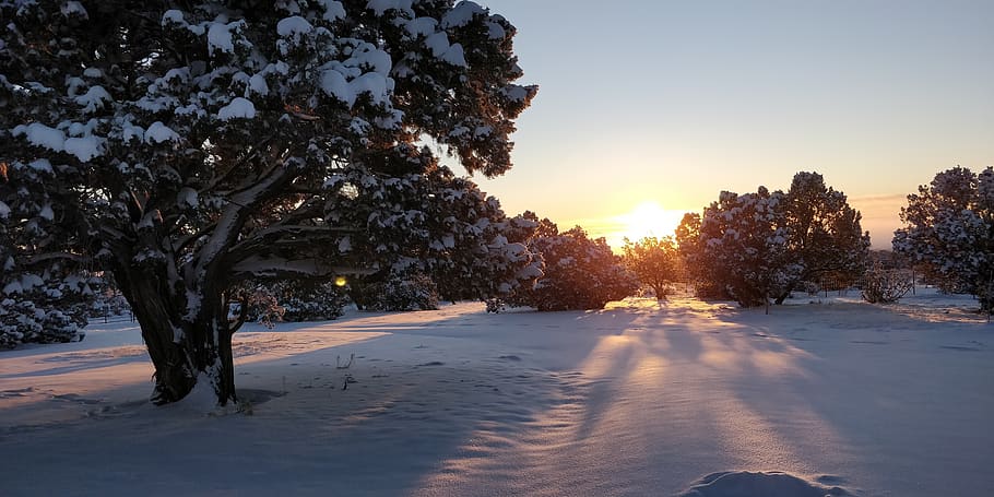 snow, winter, cold, nature, landscape, outdoors, wintry, trees HD wallpaper