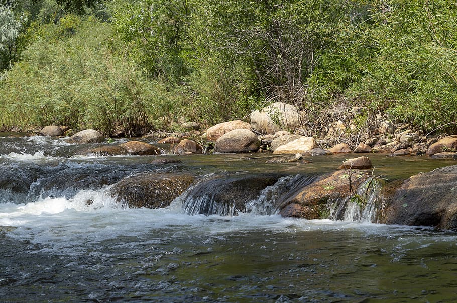 stream, creek, rocks, waterfall, riffle, flowing, tree, plant, HD wallpaper