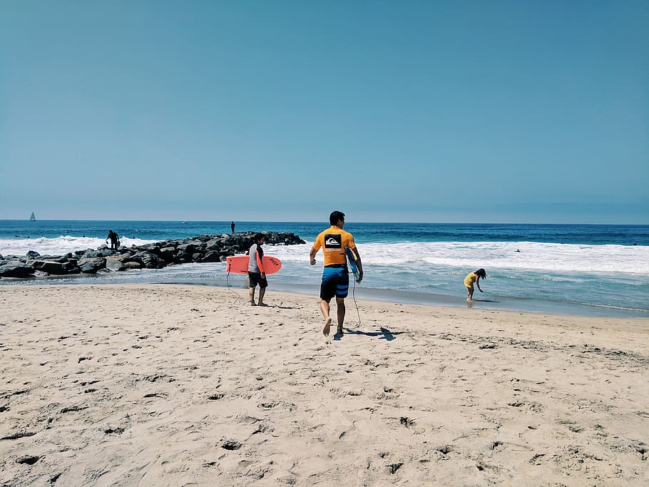 two person walking on beach shore holding bodyboards, sea, land, HD wallpaper
