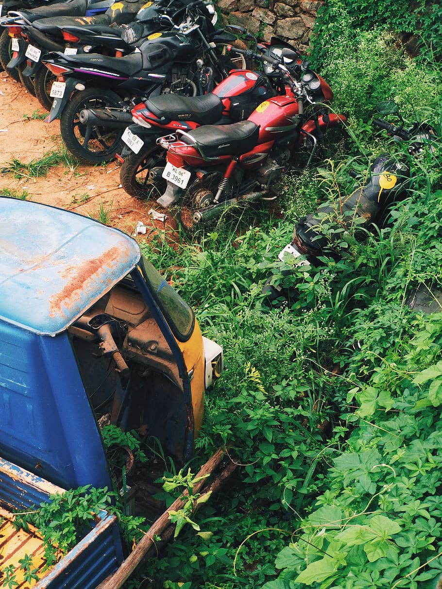 india, kerala, mode of transportation, land vehicle, field HD wallpaper