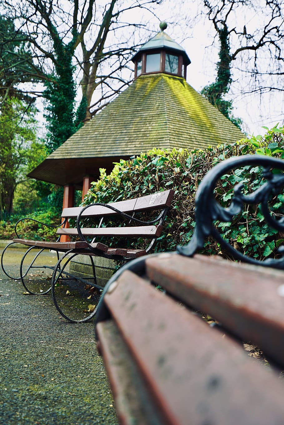 furniture, park bench, tree, plant, outdoors, transportation HD wallpaper