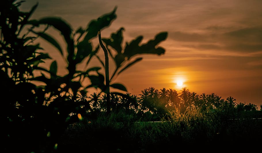 flare, light, sunlight, nature, outdoors, dusk, sunset, red sky HD wallpaper