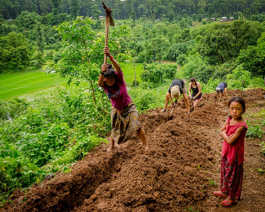 five people digging ground, human, person, soil, outdoors, nature