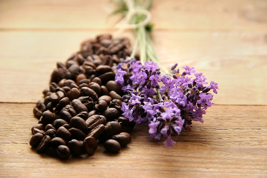coffee, coffee beans, brown, lavender, purple, stimulating