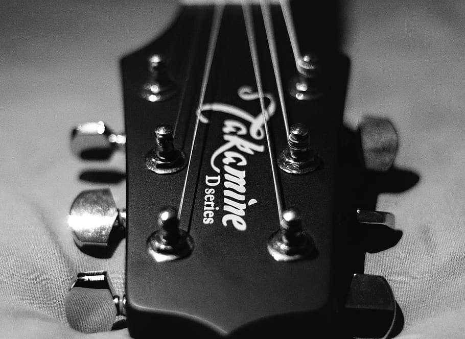 new zealand, auckland, music, guitar, instrument, black and white, HD wallpaper