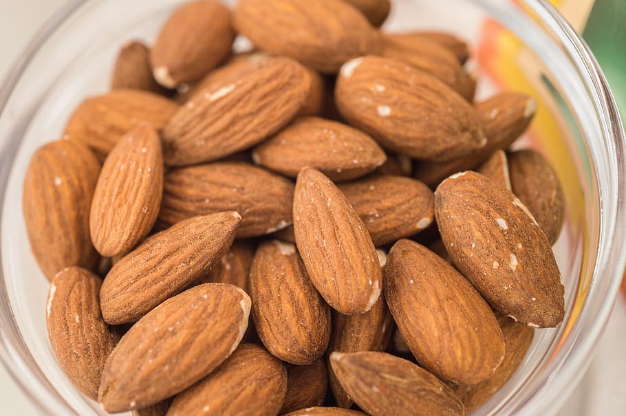almonds, raw, tree, growing, branch, agriculture, crop, fruit HD wallpaper