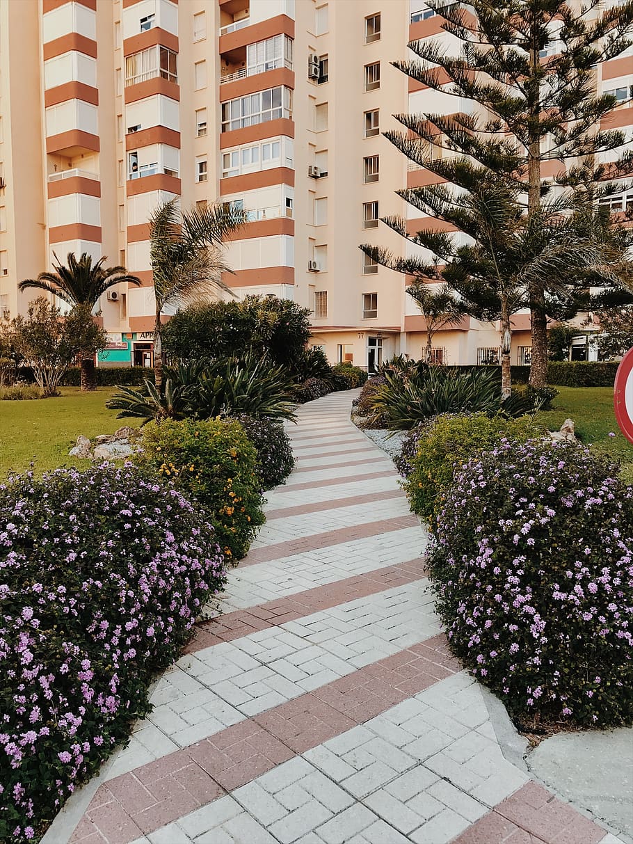 españa, torrox, building, house, flowers, nature, pathway HD wallpaper