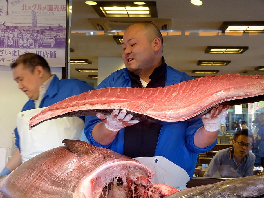 fish, slice, sliced, food, restaurant, human, activity, job HD wallpaper