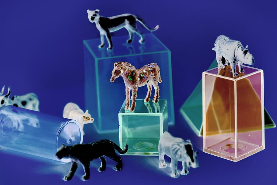 Assorted-color Animal Illustrations, animals, boxes, close-up, HD wallpaper