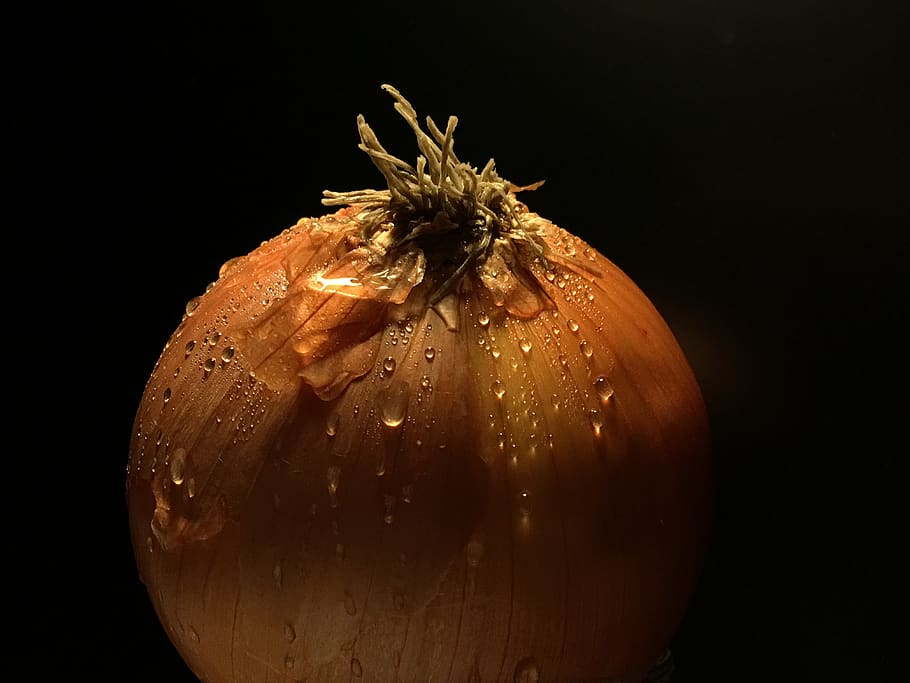 onion, drops, nature, power, vegetables, plant, rain, wet, salad HD wallpaper