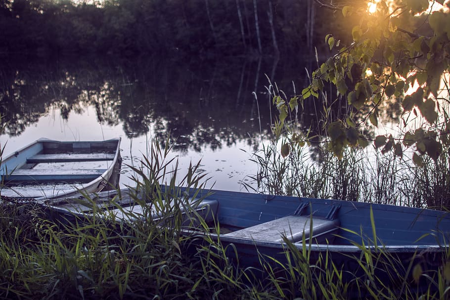 nature, lake, water, tree, canoe, boat, row boat, outdoors, HD wallpaper