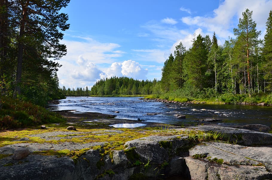 outdoors, landscape, river, taiga, karelia, north, forest, sky HD wallpaper