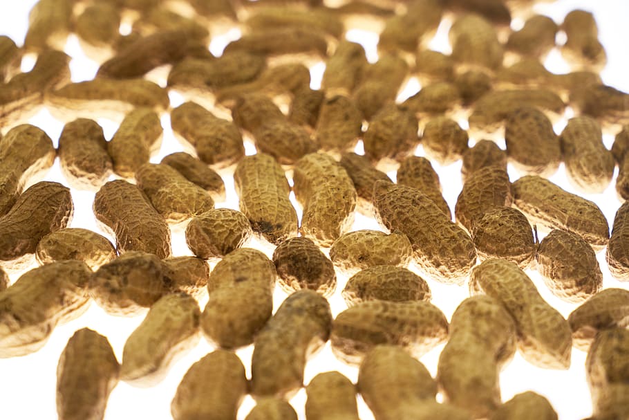 peanut, peanuts, shelled, sarmiento, salt, dried fruits and nuts HD wallpaper