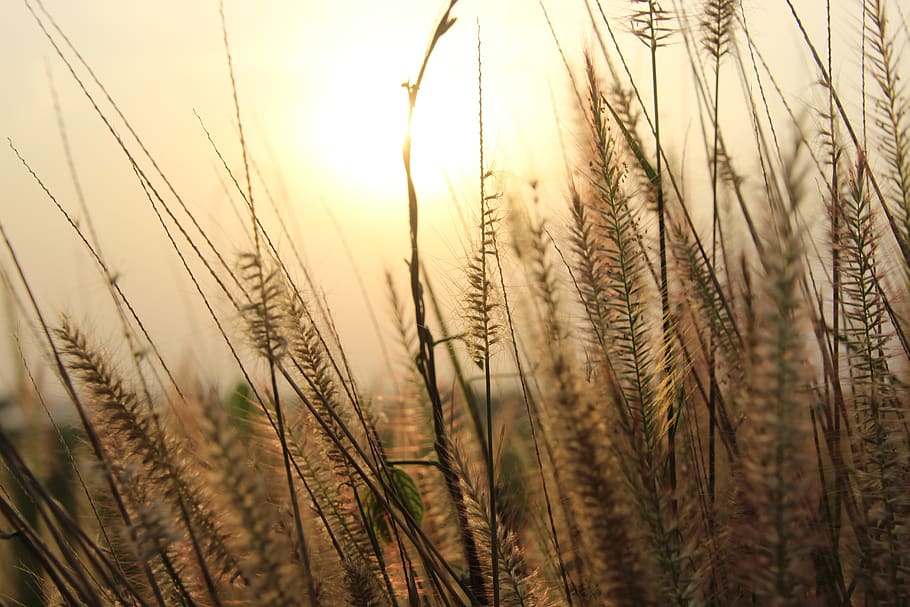 sunset, sky, sunrise, landscape, dawn, nature, sunny, orange HD wallpaper