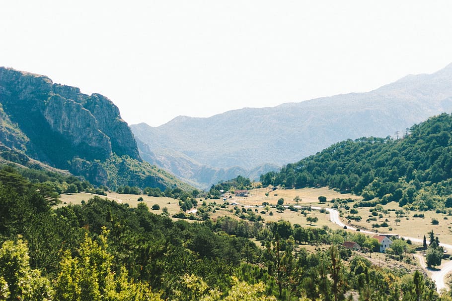 trees, forest, mountains, europe, balkans, bosnia, countryside HD wallpaper