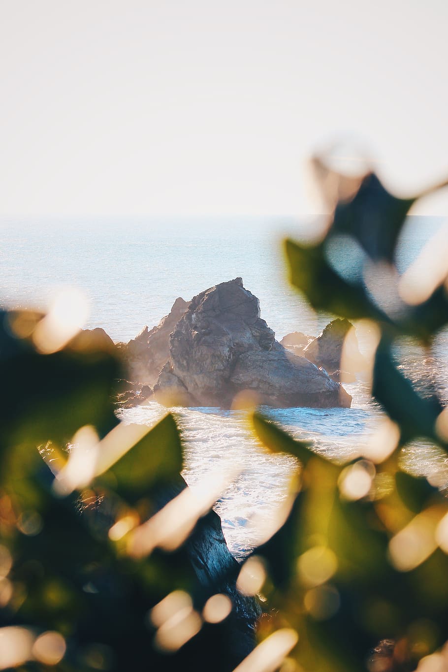 brown rocks on beach, selective focus, nature, close-up, beauty in nature HD wallpaper