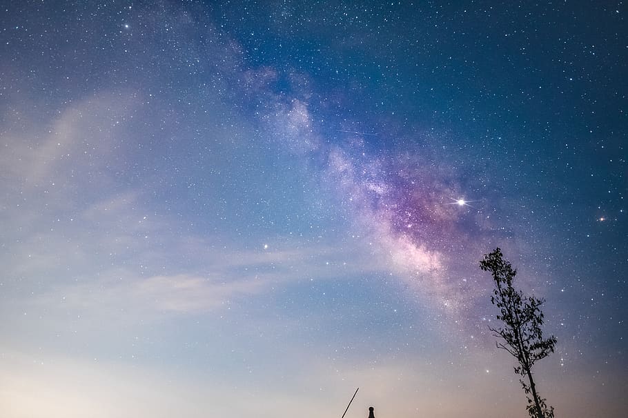 tree under starry night, nature, outdoors, universe, outer space HD wallpaper