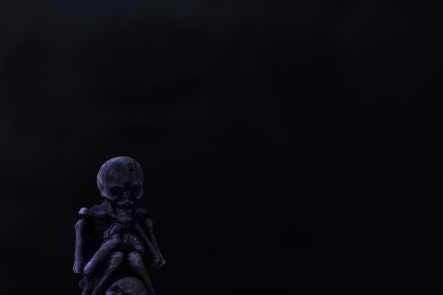skull, fear, dark, night, horror, human representation, sculpture HD wallpaper