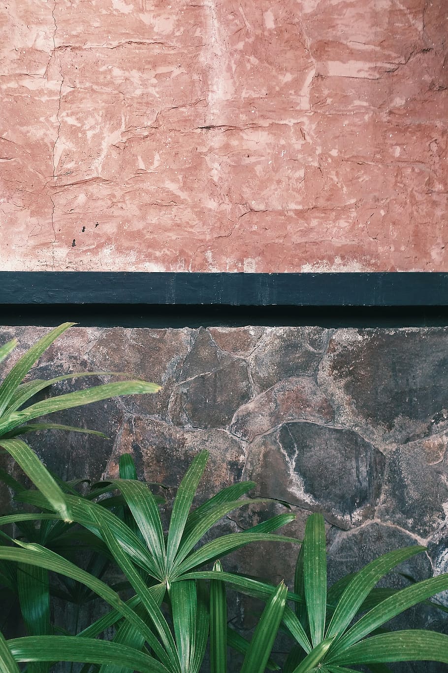 green plant on wall, built structure, no people, architecture HD wallpaper