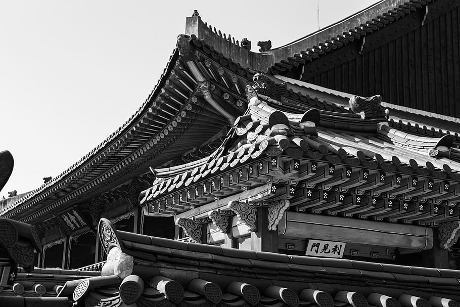south korea, gyeongbokgung palace, temple, roof, black and white, HD wallpaper