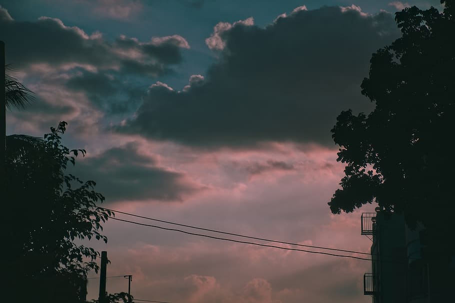 sky, sunset, cloud - sky, cable, tree, silhouette, plant, low angle view HD wallpaper