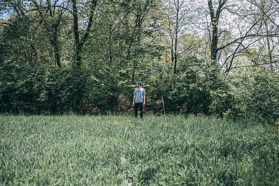 Photography of a Man Standing on Grass Field, boy, branches, environment HD wallpaper