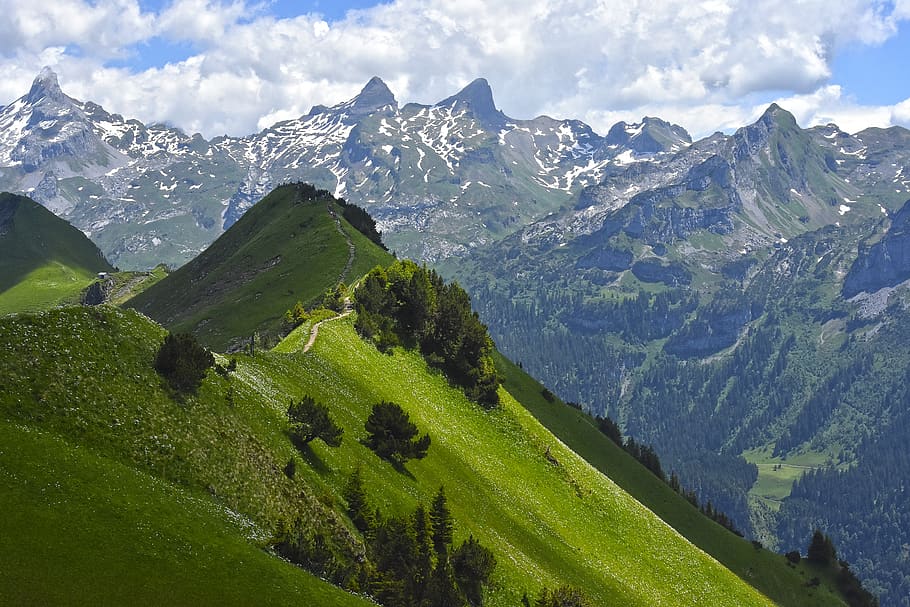 mountain, panorama, green, mountain edge, panoramic view, path HD wallpaper